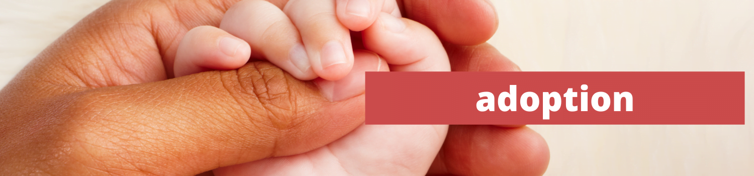 adoption header Adoption Information for the United States and Canada